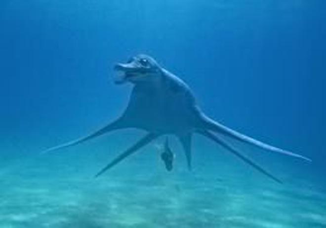 corals inverts stocking in 69 gallons tank - This is my beloved sea monster, Nelly