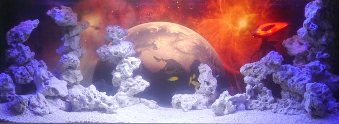 100 gallons freshwater fish tank (mostly fish and non-living decorations) - War of the Worlds theme, 100 gallon tank. Just started populating today, looking forward to where it goes.