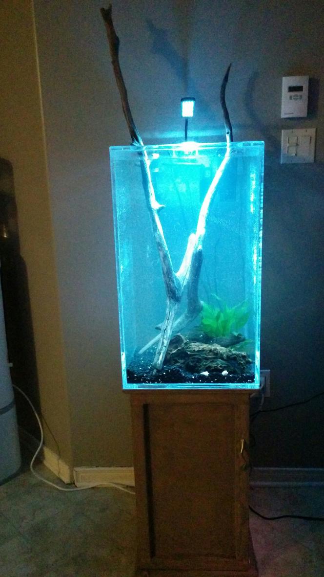 27 gallons freshwater fish tank (mostly fish and non-living decorations) - Acrylic open top aquarium, 27 gallons.