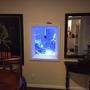 fish tank picture - Window