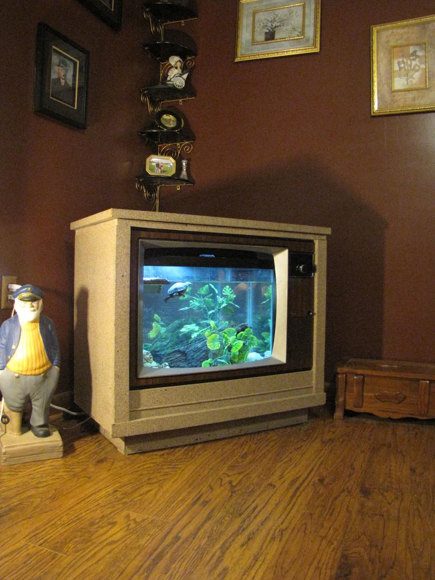 Rated #19: 30 Gallons Freshwater Fish Tank - Hank