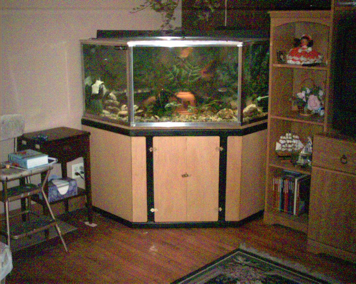 125 gallons freshwater fish tank (mostly fish and non-living decorations) - custom built tank