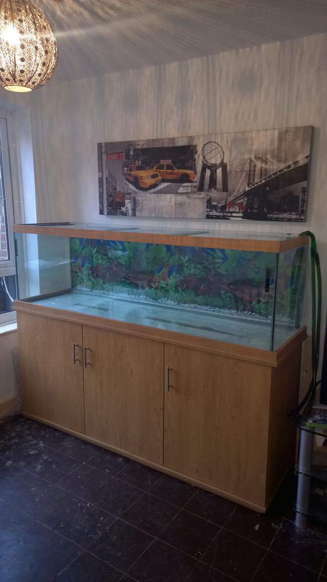 fish tank picture - Getting prepared to set up 😁