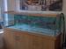 view more best photos of variety 140 gallons tanks 