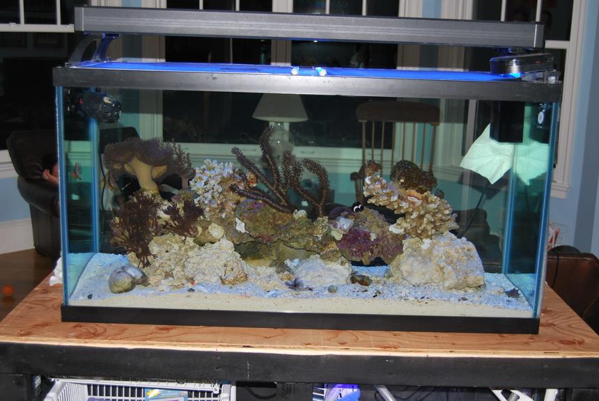 Rated #5: 90 Gallons Saltwater Fish Tank - 90 gal display tank