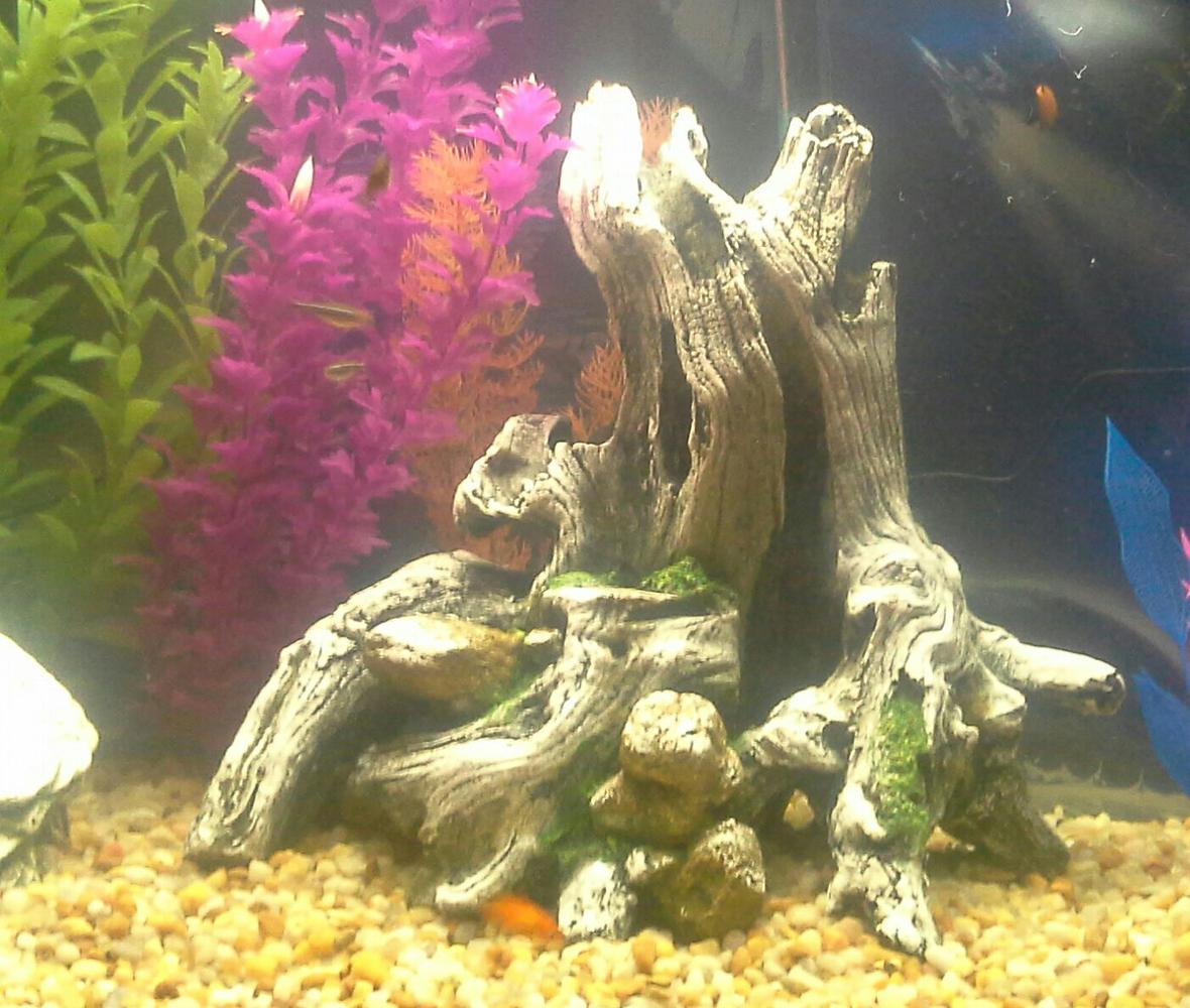 30 gallons freshwater fish tank (mostly fish and non-living decorations) - Using equipment I got back in 2007. I am continually upgrading now that I am getting back into it.