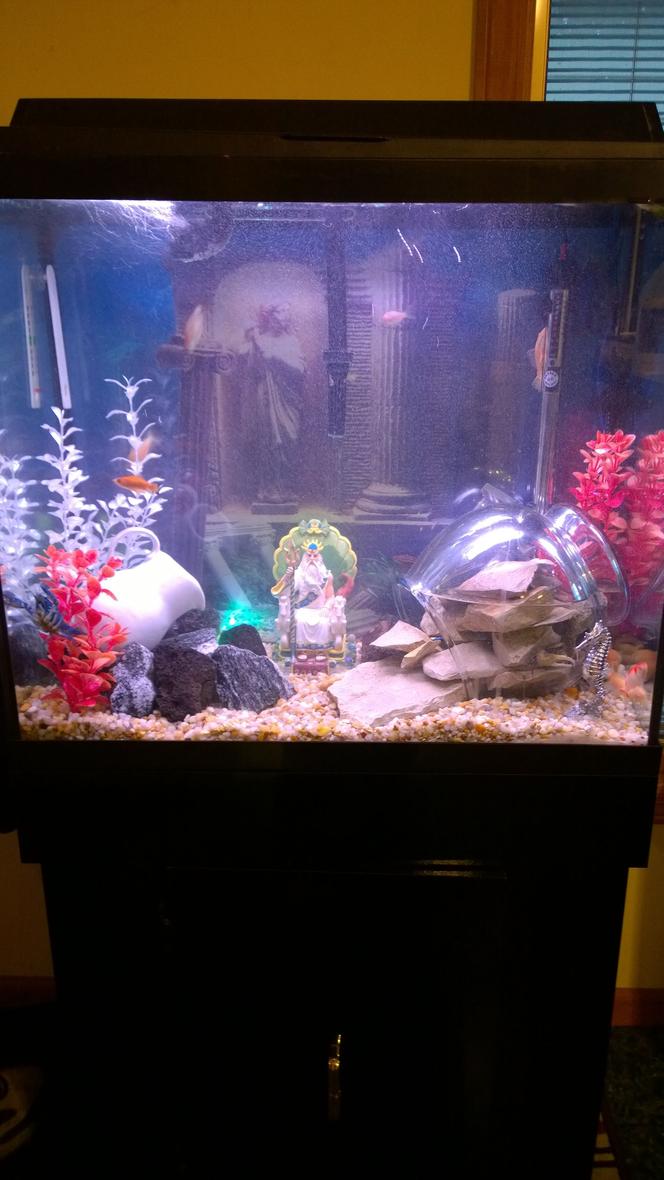 30 gallons freshwater fish tank (mostly fish and non-living decorations) - Scheme created 11/2015. This tank features an underwater dry space (in glass bowl) for fiddler crab, electric blue crayfish, pea puffers, cory cats, couple koi goldfish, killifish, snail.