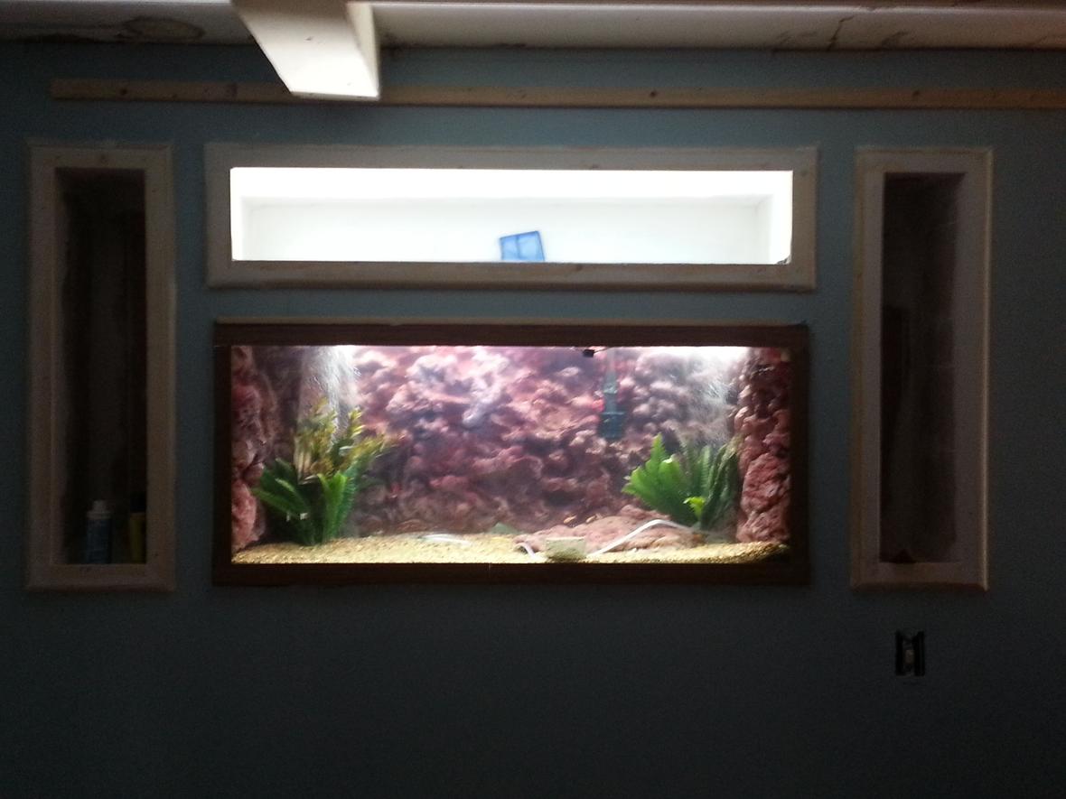 fish tank picture - Still a work in progress. All in wall work done myself.