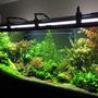 225 gallons planted tank (mostly live plants and fish) - 225 standard 6 FT Freshwater Planted Aquarium.