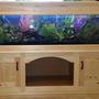 85 gallons freshwater fish tank (mostly fish and non-living decorations) - 72x18x18 homemade aquarium stand