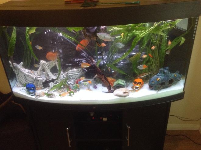 400 gallons planted tank (mostly live plants and fish) - My tank pleas tell me what you think thank you