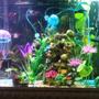65 gallons freshwater fish tank (mostly fish and non-living decorations) - My tank