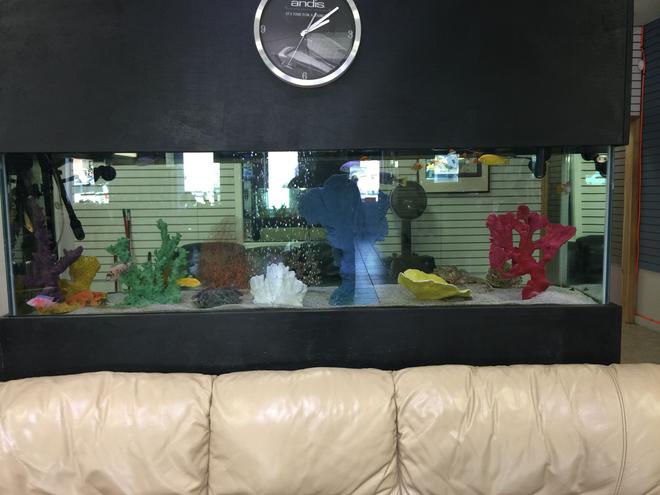 125 gallons freshwater fish tank (mostly fish and non-living decorations) - 125 gallon
Barbershop aquarium
African cichlids