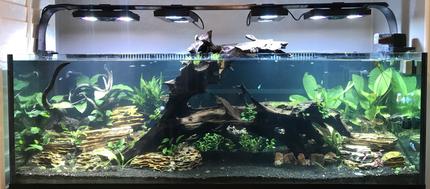 180 gallons planted tank (mostly live plants and fish) - My 180
Ecotech radions
Mp10
Vecter return
Fluval fx6 mechanical only
Co2 dosed
6 auto dosers
Smart ato 
24 watts uv sterilizer
