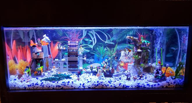 20 gallons freshwater fish tank (mostly fish and non-living decorations) - Lego tank
