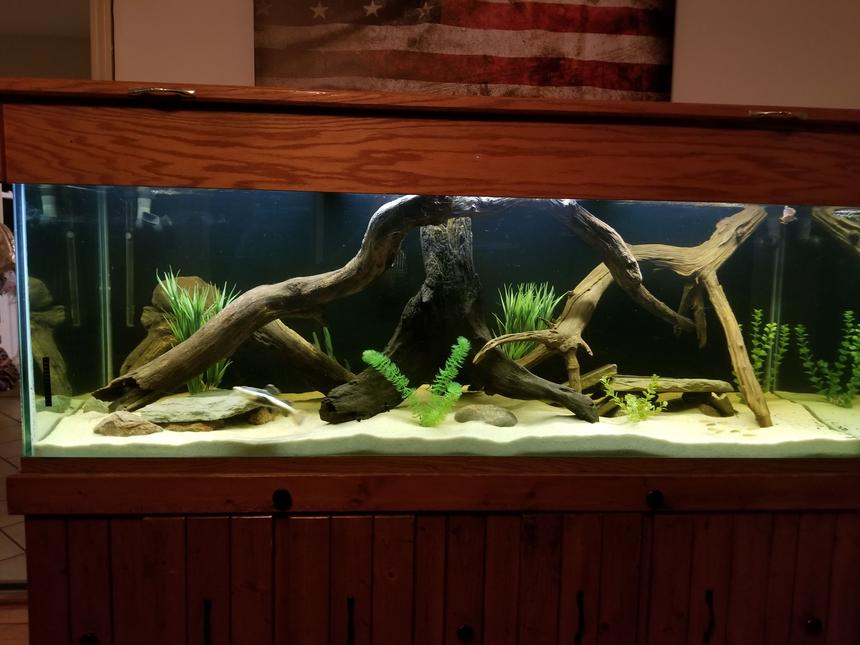 Rated #6: 250 Gallons Freshwater Fish Tank - River Monsters