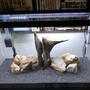 fish tank picture - Please rate this hardscape. Plants will be added once i choose scape. Option 2