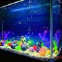 65 gallons freshwater fish tank (mostly fish and non-living decorations) - 100 x 65 x 40 (cm) / ~65 Gallons / Neon Tetra, Guppy, Serpae Tetra, Black Phantom Tetra / Artificial Plants