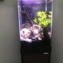 150 gallons freshwater fish tank (mostly fish and non-living decorations) - 15 gallon tall cube aquarium