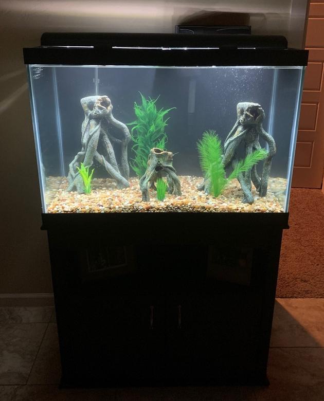 65 gallons freshwater fish tank (mostly fish and non-living decorations) - 65 g