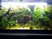 view more best photos of variety 28 gallons tanks 