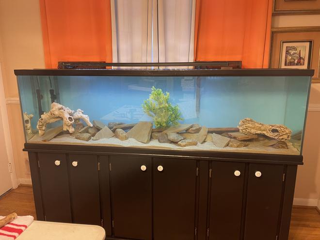 106 gallons freshwater fish tank (mostly fish and non-living decorations) - Waiting on fish