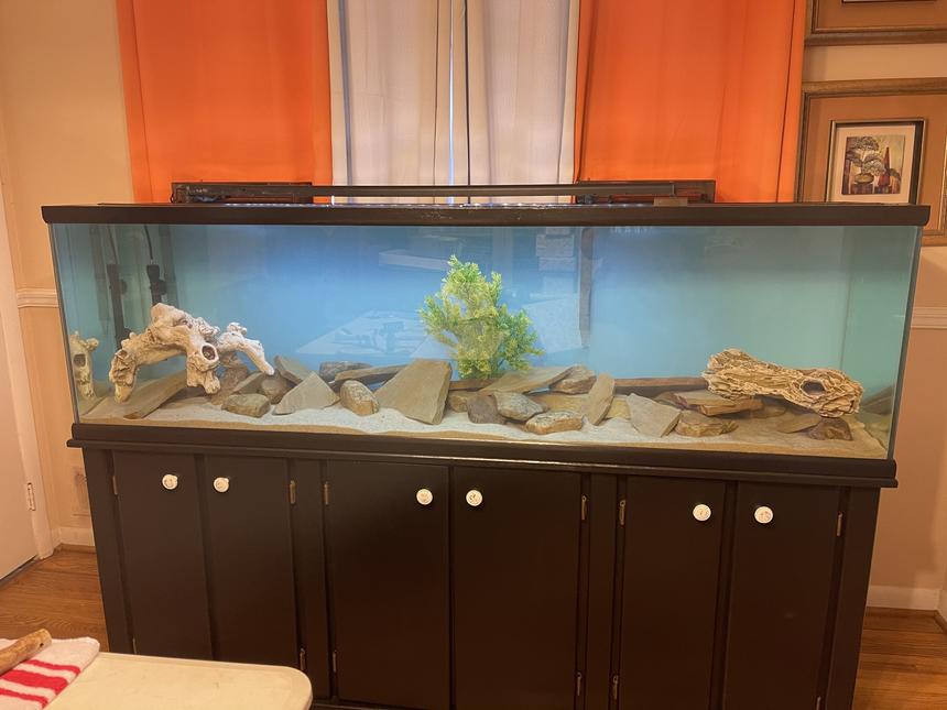 Rated #34: 106 Gallons Freshwater Fish Tank - Waiting on fish