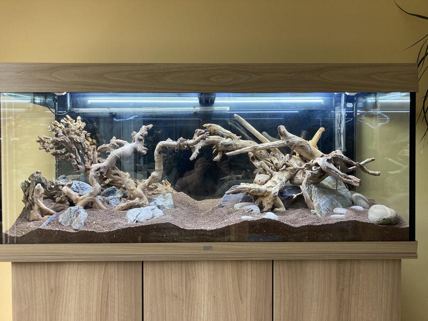 Rated #19: 53 Gallons Planted Tank - Only hardscaped at the moment .. will update