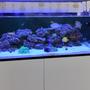 120 gallons reef tank (mostly live coral and fish) - May Reef tank