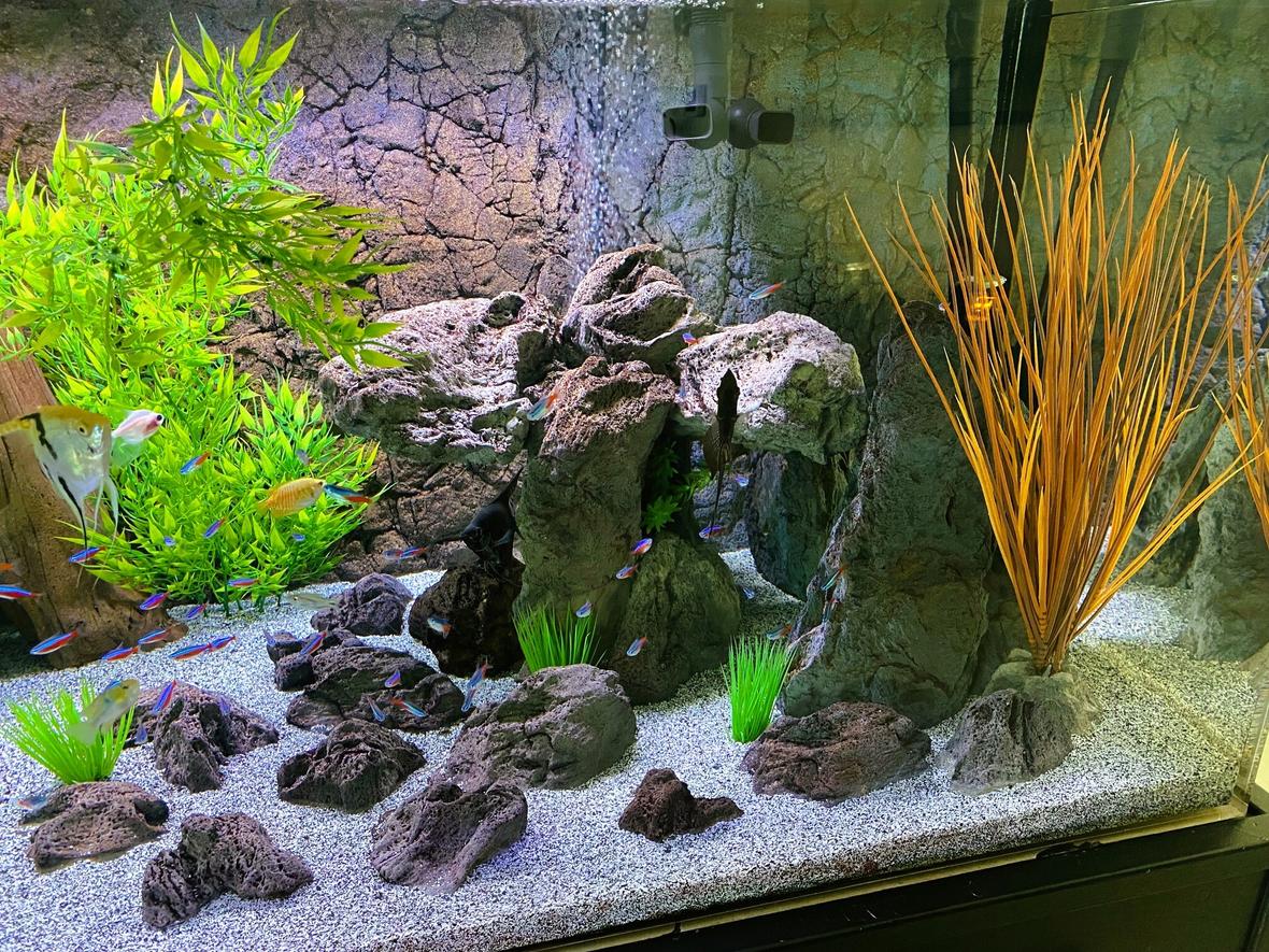 fish tank picture - Universal Rocks - Stacking Rocks