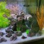 fish tank picture - Universal Rocks - Stacking Rocks