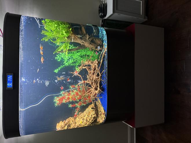 46 gallons freshwater fish tank (mostly fish and non-living decorations) - 100 gallon freshwater