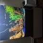 46 gallons freshwater fish tank (mostly fish and non-living decorations) - 100 gallon freshwater
