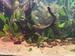 view more best photos of variety 30 gallons tanks 