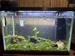 view more best photos of variety 20 gallons tanks 