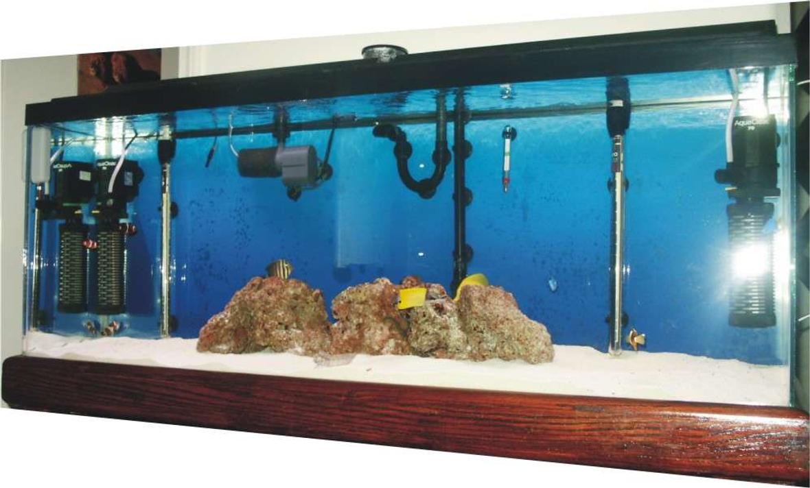 55 gallons saltwater fish tank (mostly fish, little/no live coral) - My tank is about 48x18x13 Currently I'm running a Cascade Canister Model-1000 a Sea Clone-150-Protein Skimmer 1- Coralife Turbo-Twist UV Sterilizer 2-Aqua-Clear Powerheads-(70) 2- 300-watt Hydro-Theo Submersible Heaters