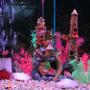 55 gallons freshwater fish tank (mostly fish and non-living decorations) - closeup 2
