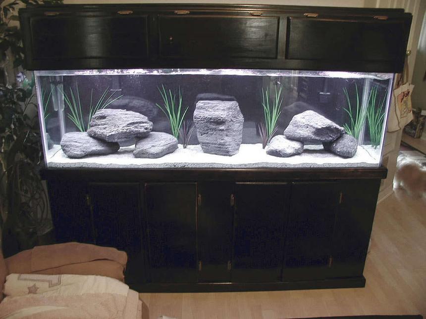 Rated #69: 125 Gallons Freshwater Fish Tank - This is my new 125gl cichlid tank. It does not have any fish at this time. I used featherock, eco-complete african cichlid sand, and fake plants because cichlids love to dig. The featherock had to be cooked in the oven and dropped in a bucket of water to make them sink but the light weight of the rocks saved me alot of money at .50 cents a pound.
