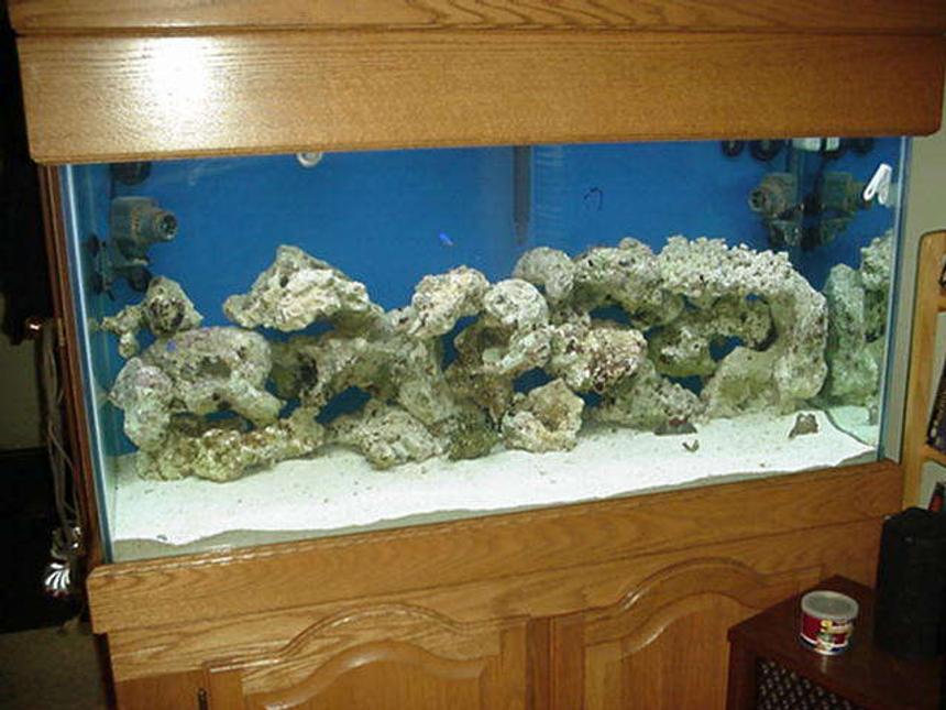 Rated #50: 90 Gallons Saltwater Fish Tank - Upgraded to A 90 Gallon Tank 120 pounds of live rock 30 gallon sump. Little giant return pump. 80 pounds of live sand.