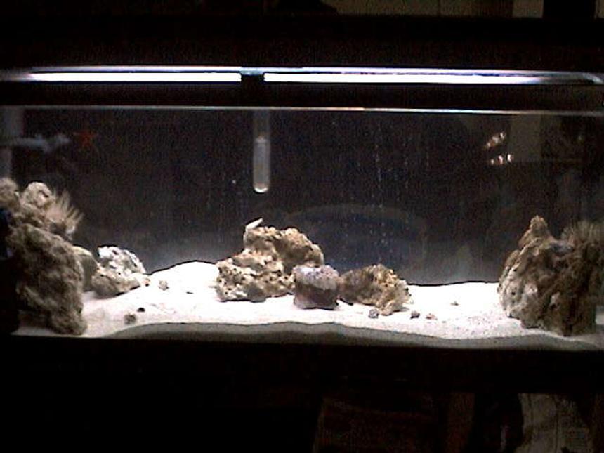 Rated #69: 27 Gallons Saltwater Fish Tank - A general pic.