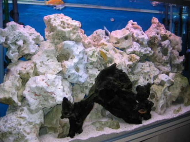 30 gallons freshwater fish tank (mostly fish and non-living decorations) - My 48" Malawi Cichlid tank, now with more rocks (thanks Charlie!) and nice driftwood.  Yellow, blue, orange and stripey Cichlids.