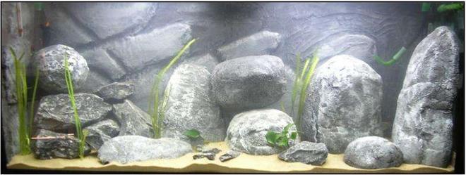 65 gallons freshwater fish tank (mostly fish and non-living decorations) - Tanganyika, hollow rocks DIY... made from cement en epoxyresin.