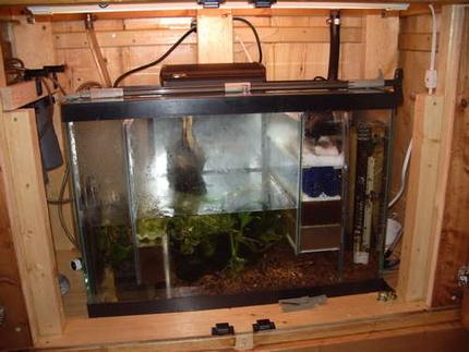 33 gallons planted tank (mostly live plants and fish) - Sump/refugium 20 gallon. Water enters on right, flows through filter floss, bioballs, two levels of sponges, into refugium, through sponge level and back to return pump. Refugium contains java moss to use up excess nutrients.