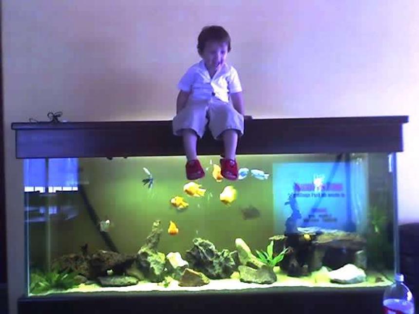 Rated #144: 150 Gallons Freshwater Fish Tank - my boys!!!