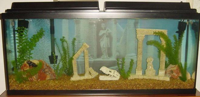 55 gallons freshwater fish tank (mostly fish and non-living decorations) - 55 gallon Oscar tank.Two marineland powerheads and a penguin 350 bio wheel filter.