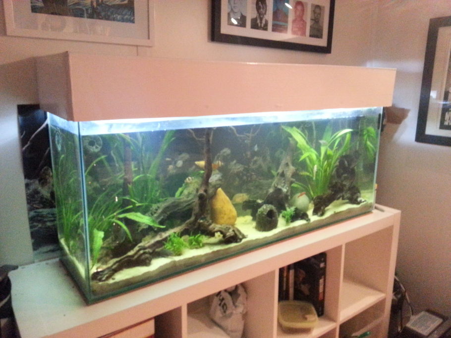 Firthy76 S Additional Tank Picture Photo Id 38905 Full Version 4ft River Bed Natural Tank