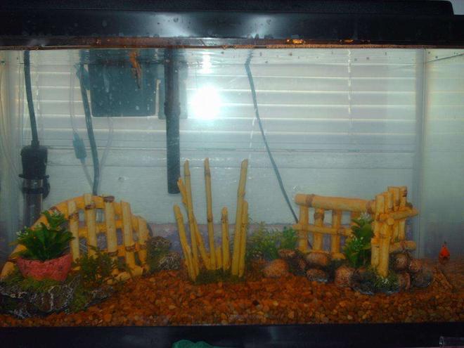 10 gallons freshwater fish tank (mostly fish and non-living decorations) - tiki theme with fish :]