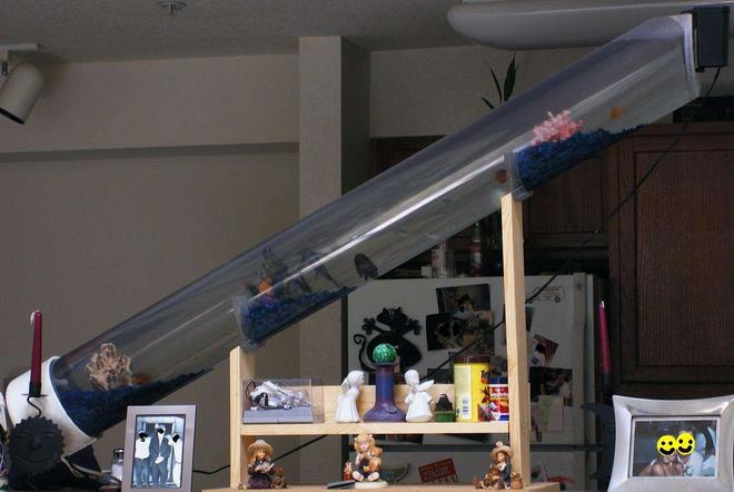 12 gallons freshwater fish tank (mostly fish and non-living decorations) - My 5' long awesome fish tank!!!!