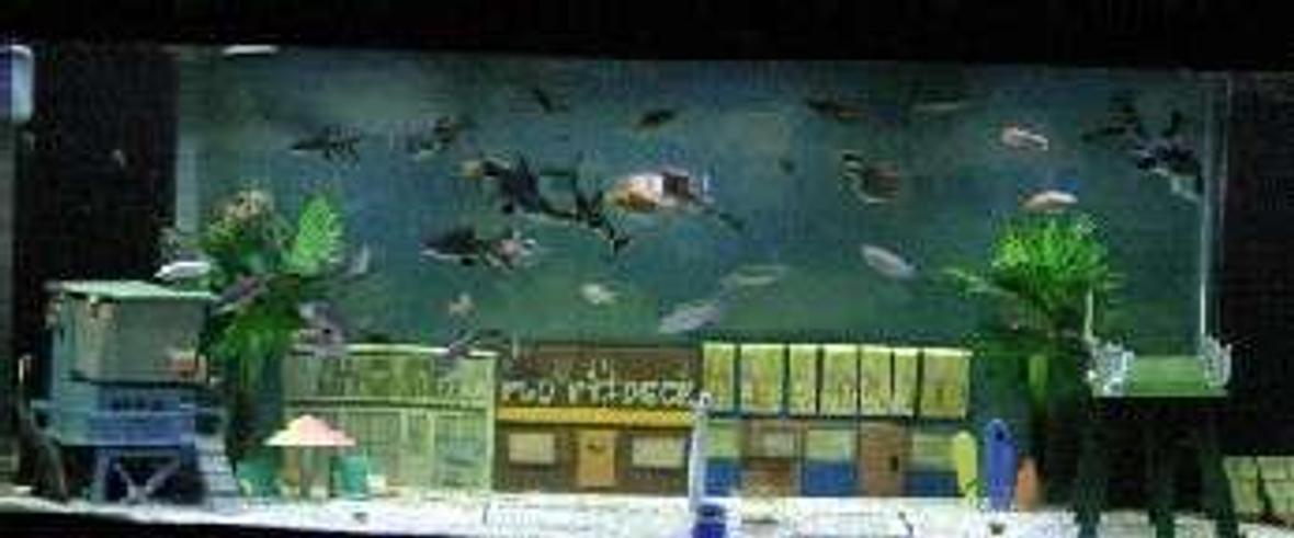 175 gallons freshwater fish tank (mostly fish and non-living decorations) - I made each ornament by hand. They are all custom ceramic pieces. Email me if you want me to create one for your tank.