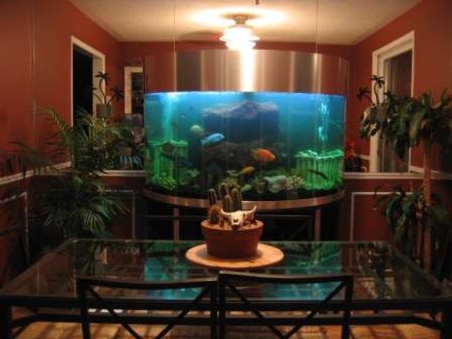144 gallons freshwater fish tank (mostly fish and non-living decorations) - 144 Gallon Semi Circle